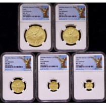 Mexican gold coins | AydinCoins.com